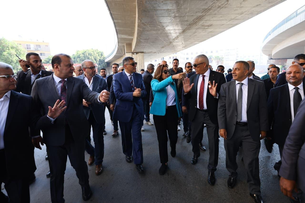 التنمية المحلية