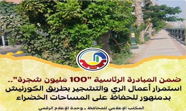 استمرار أعمال التشجير بطريق الكورنيش بدمنهور للحفاظ على المساحات الخضر