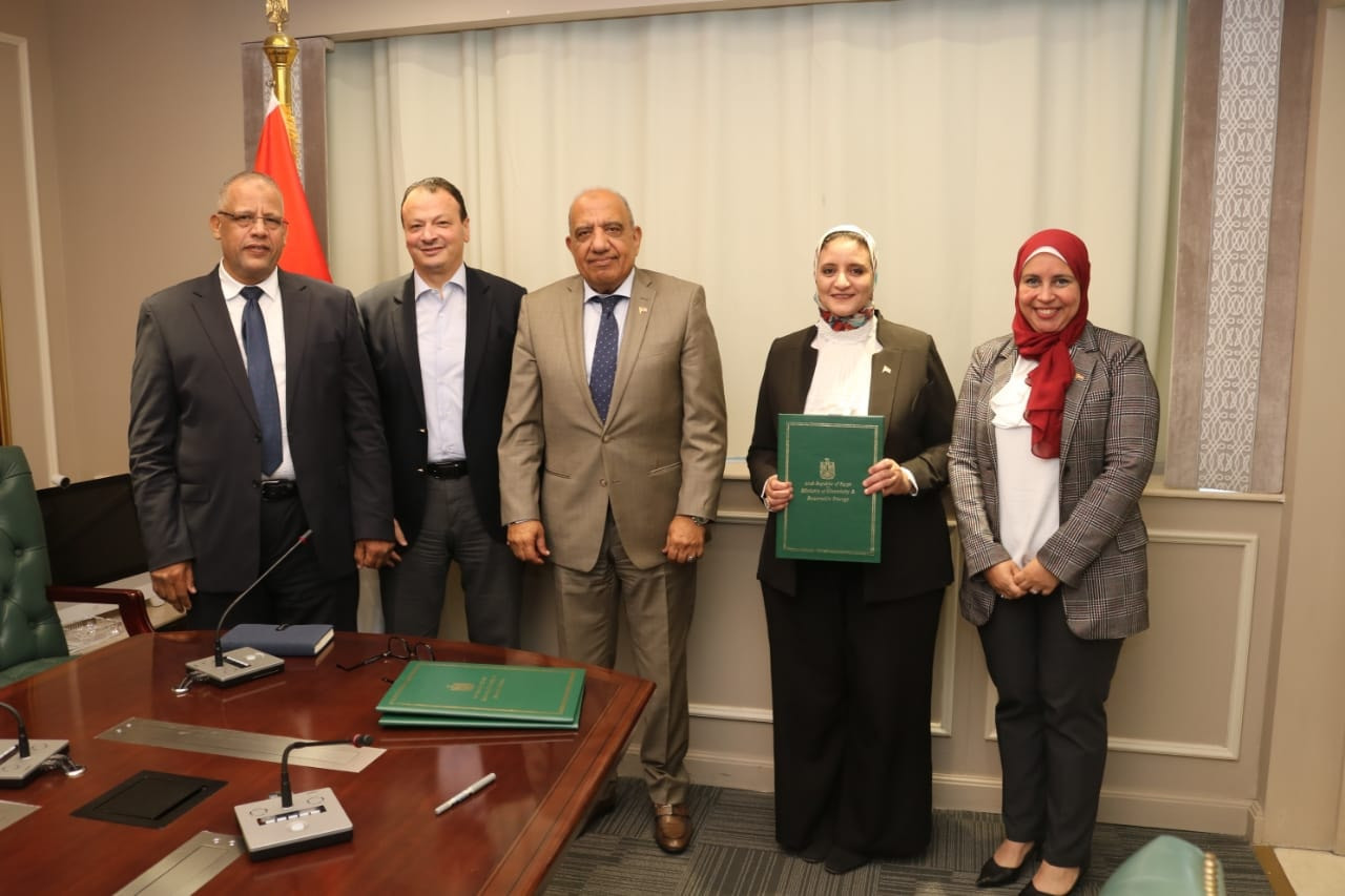 وزير الكهرباء