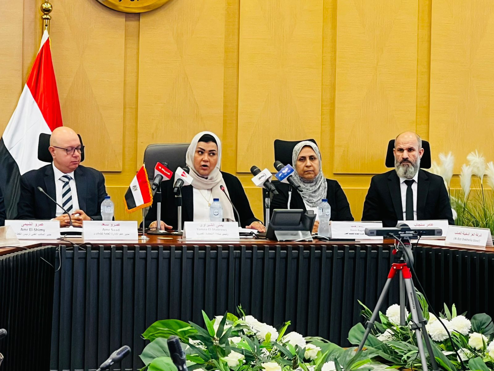 سلطة التحقيق بوزارة الاستثمار