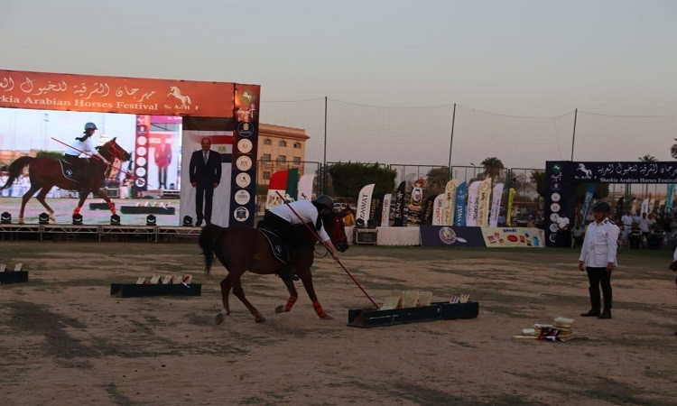 محافظ القليوبية يشارك في مهرجان الشرقية للخيول العربية الأصيلة
