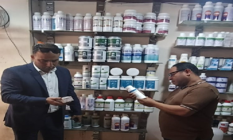 يطري الإسماعيلية يواصل تحصين رؤوس الماشية والتفتيش على الصيدليات البيط