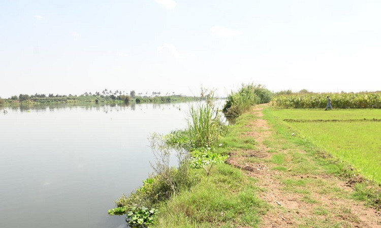 محافظ البحيرة تتفقد ارتفاع منسوب مياه النيل بكوم حمادة