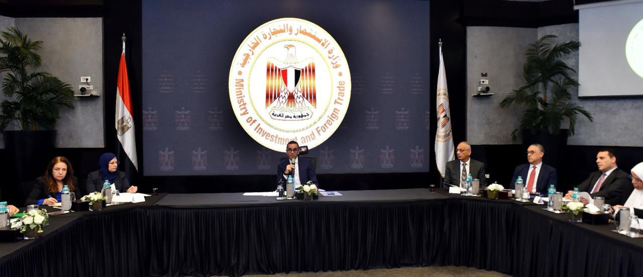 وزير الاستثمار