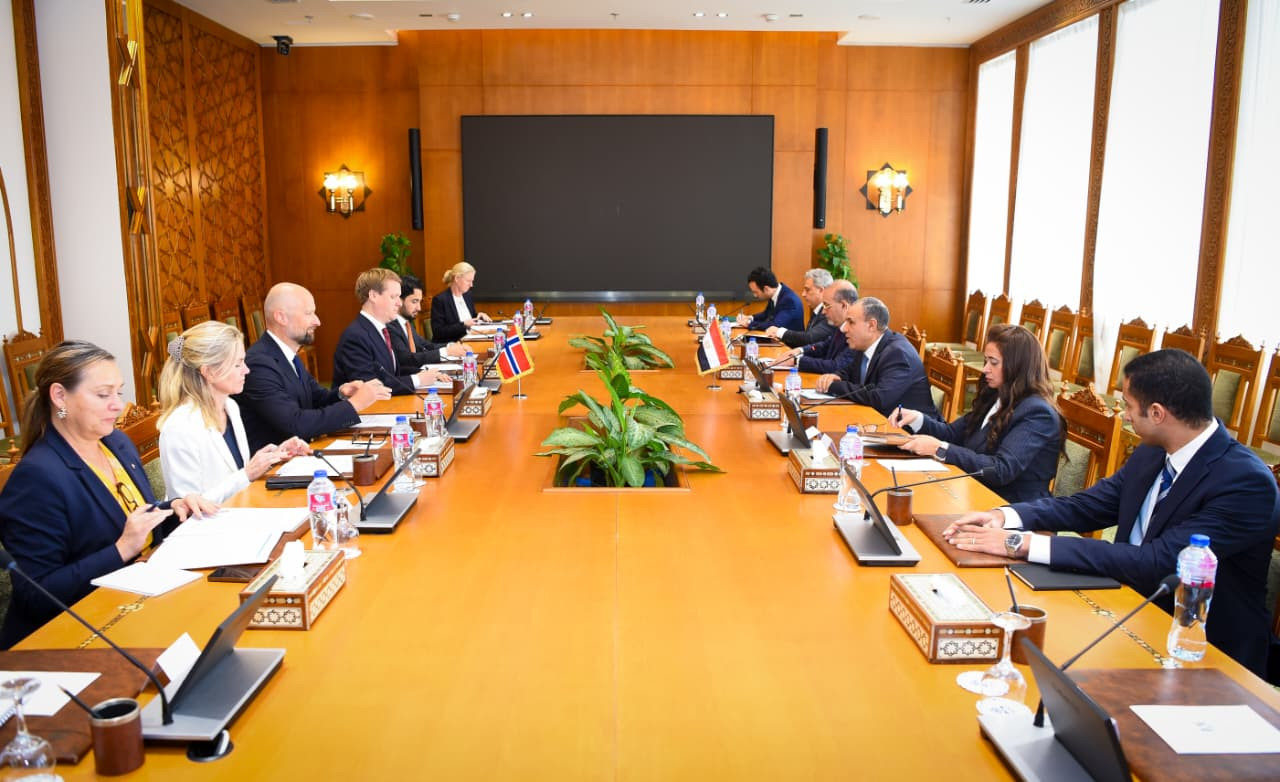 الدكتور بدر عبد العاطي وزير الخارجية