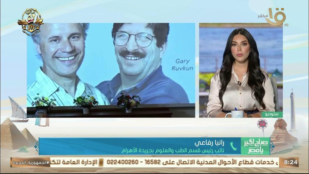 جوائز نوبل 2025.. تتويج إنجازات في الطب والفيزياء الكمية