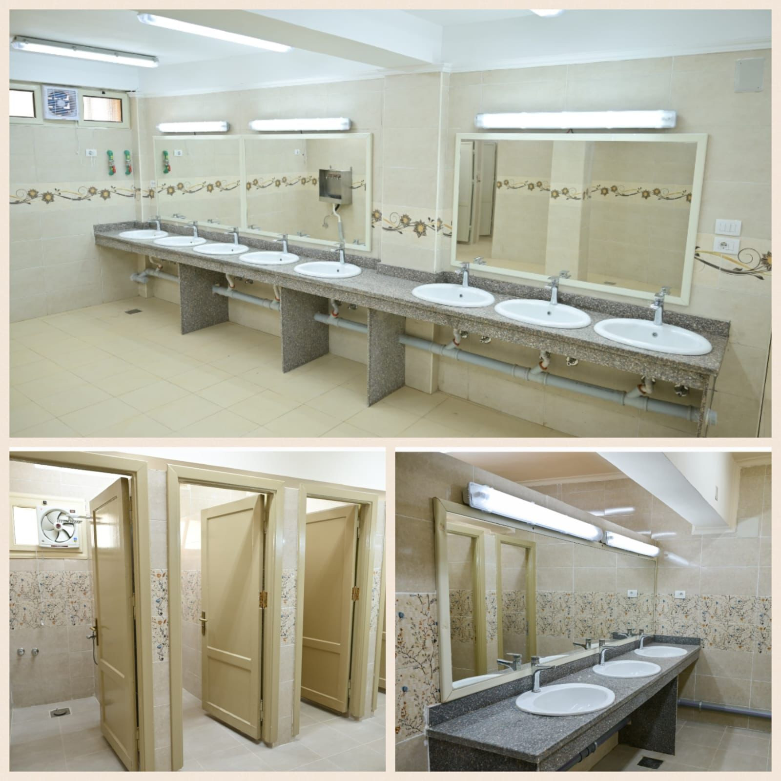 جامعة القاهرة