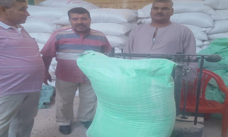 تحرير 164 مخالفة تموينية خلال حملات على المخابز والأسواق بالمنيا