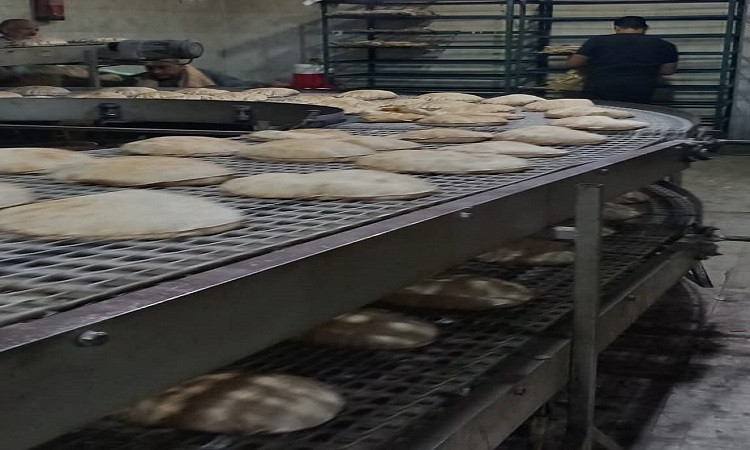 تحرير 2279 محضر خلال حملات تموينية مكثفة بالبحيرة