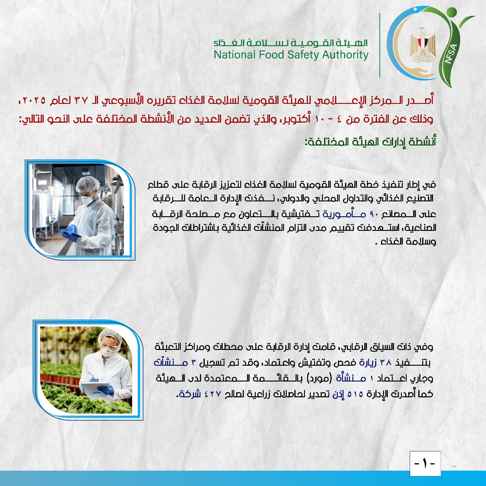 سلامة الغذاء