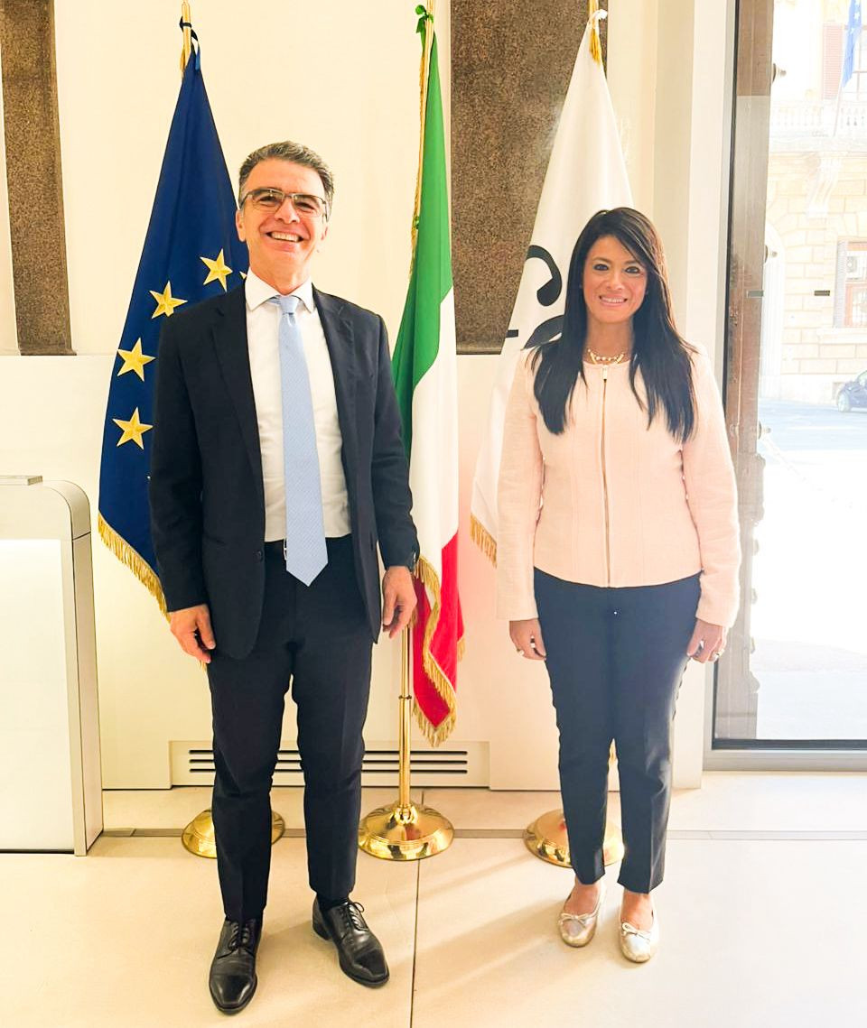 رانيا المشاط