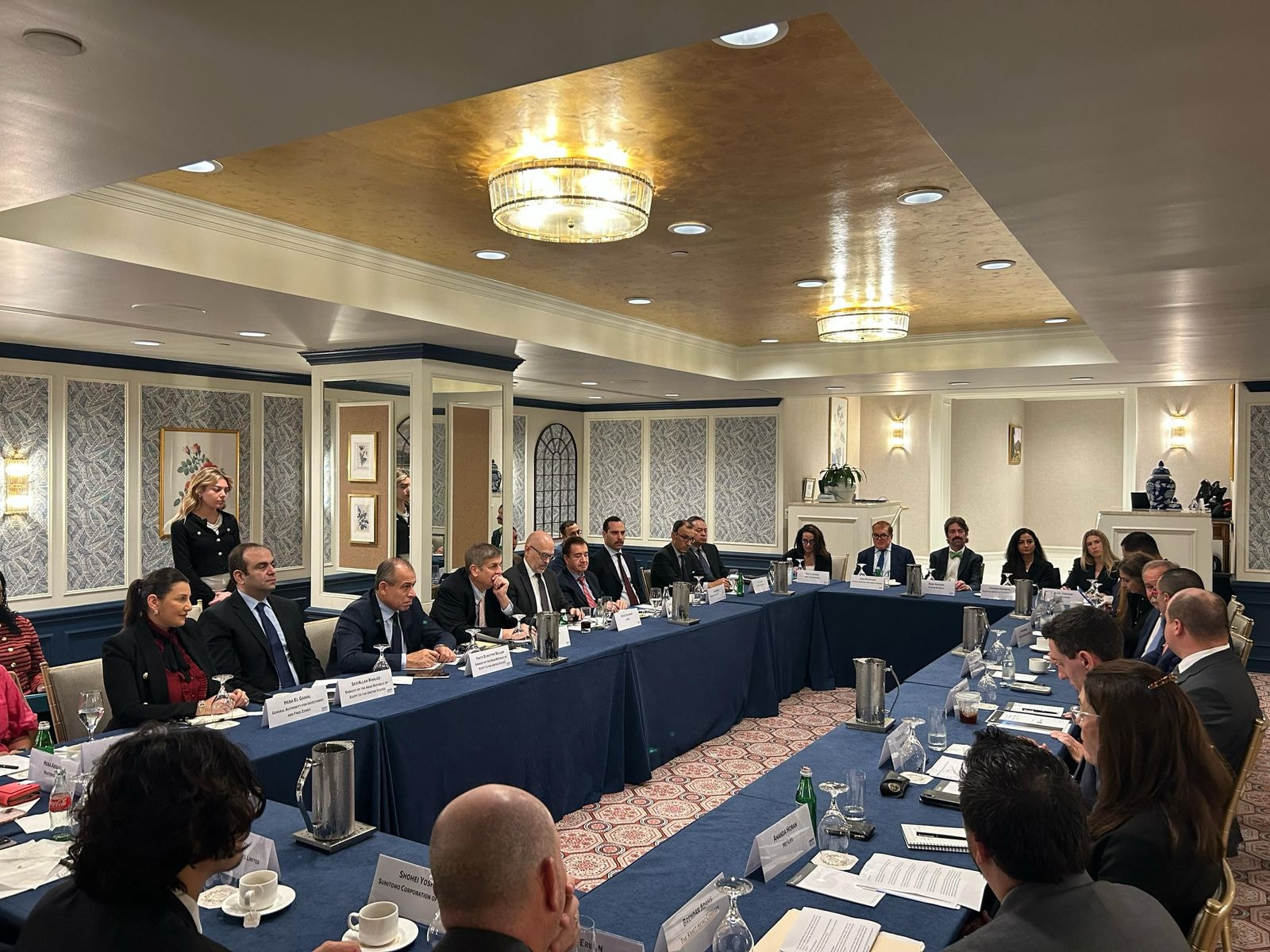 وزير الاستثمار