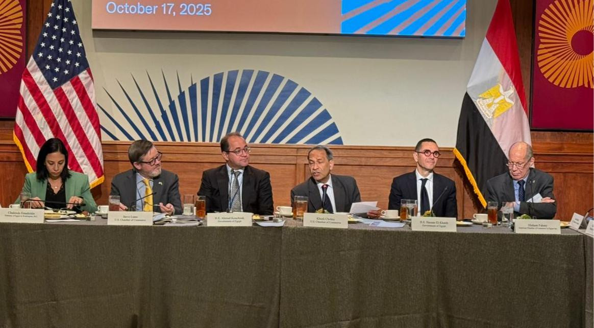 أحمد كجوك وزير المالية