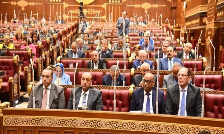 مجلس الشيوخ يفتتح فصله التشريعي الثاني بانتخاب عصام فريد رئيسًا له