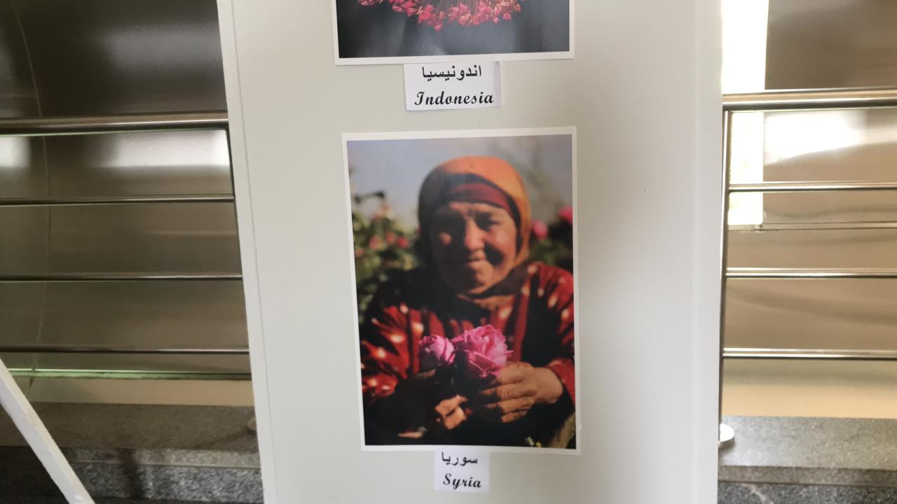 حضارة وشعوب