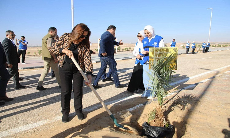 الوادي الجديد