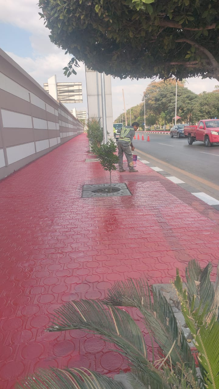 المتحف الكبير