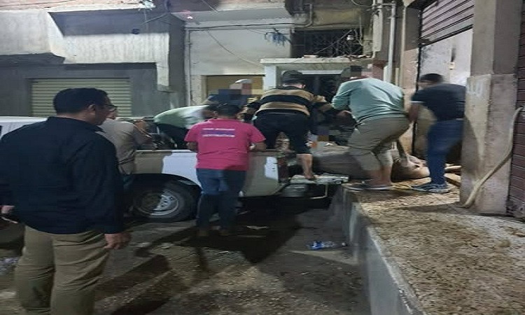 ضبط 300 كجم لحوم غير صالحة للاستهلاك الآدمي بشبين الكوم