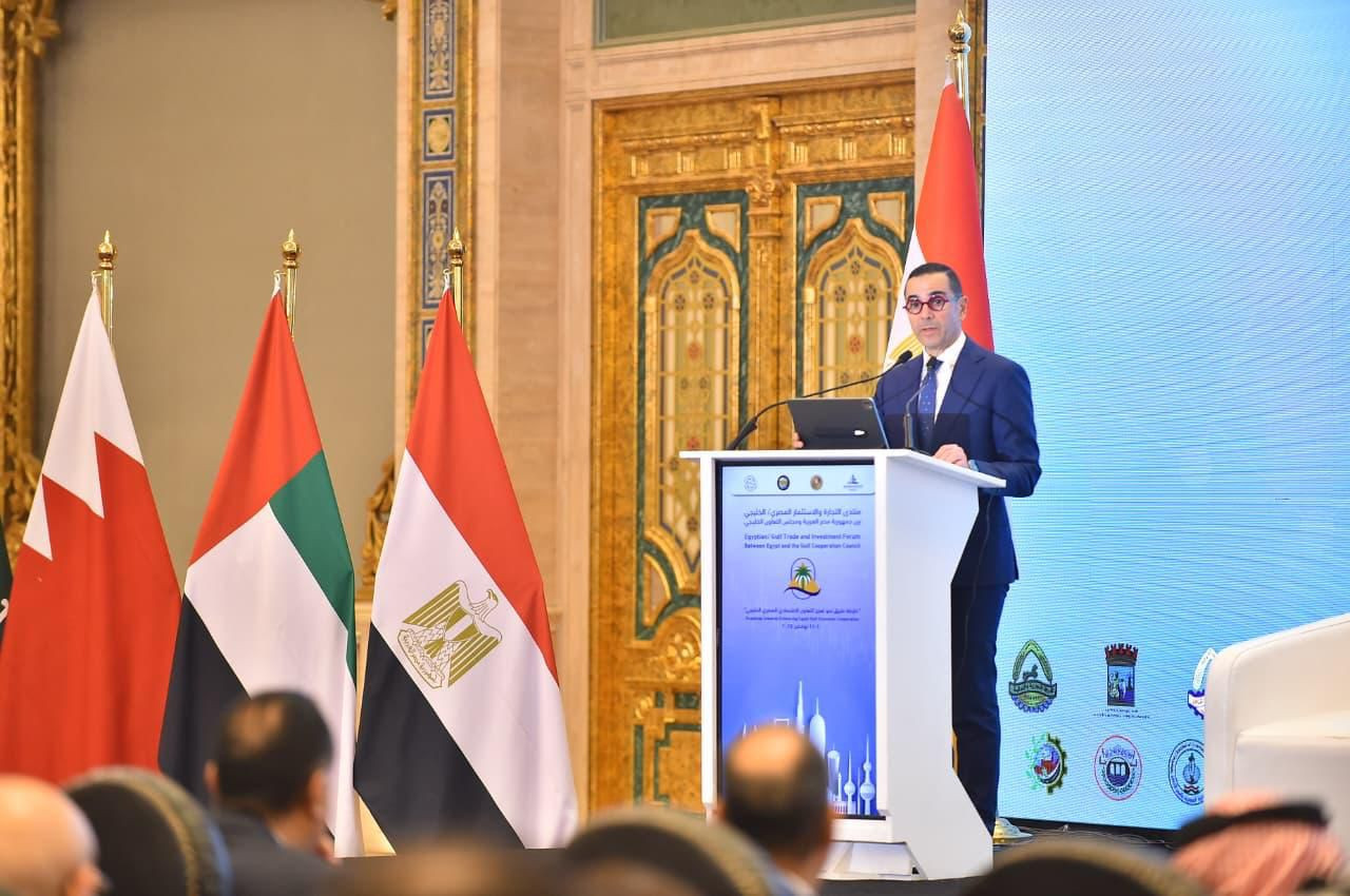 وزير الاستثمار