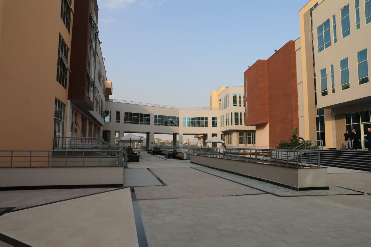 التعليم العالي