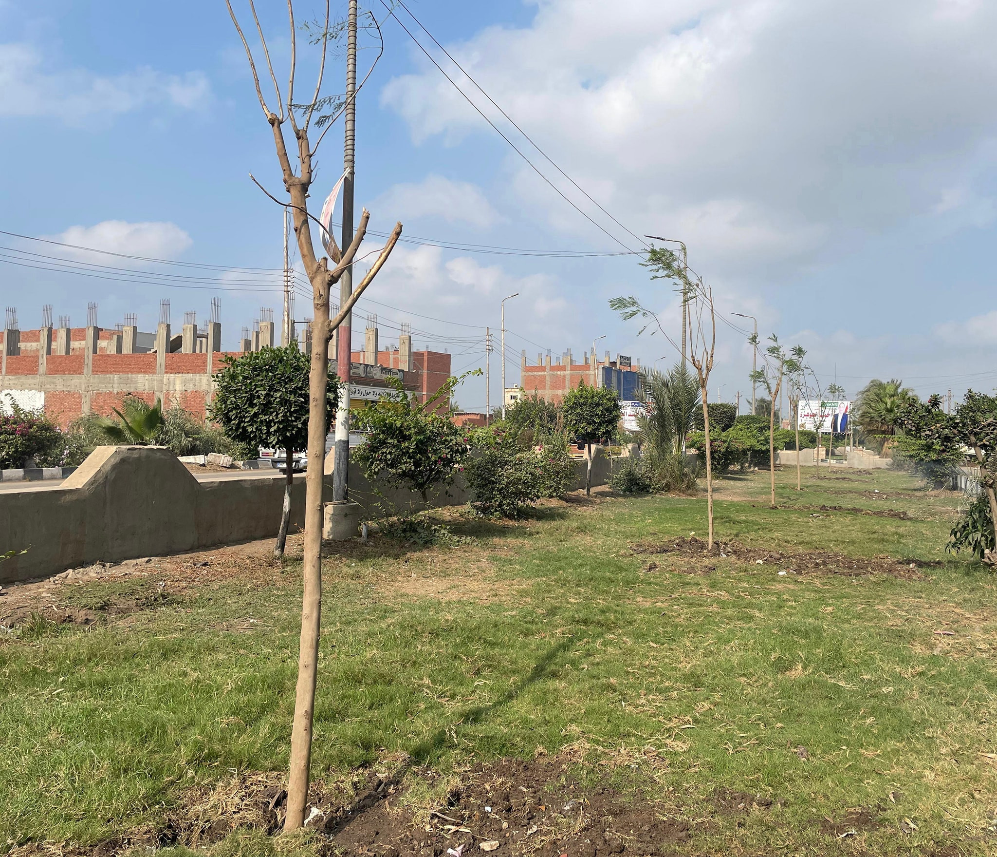 الدكتورة منال عوض