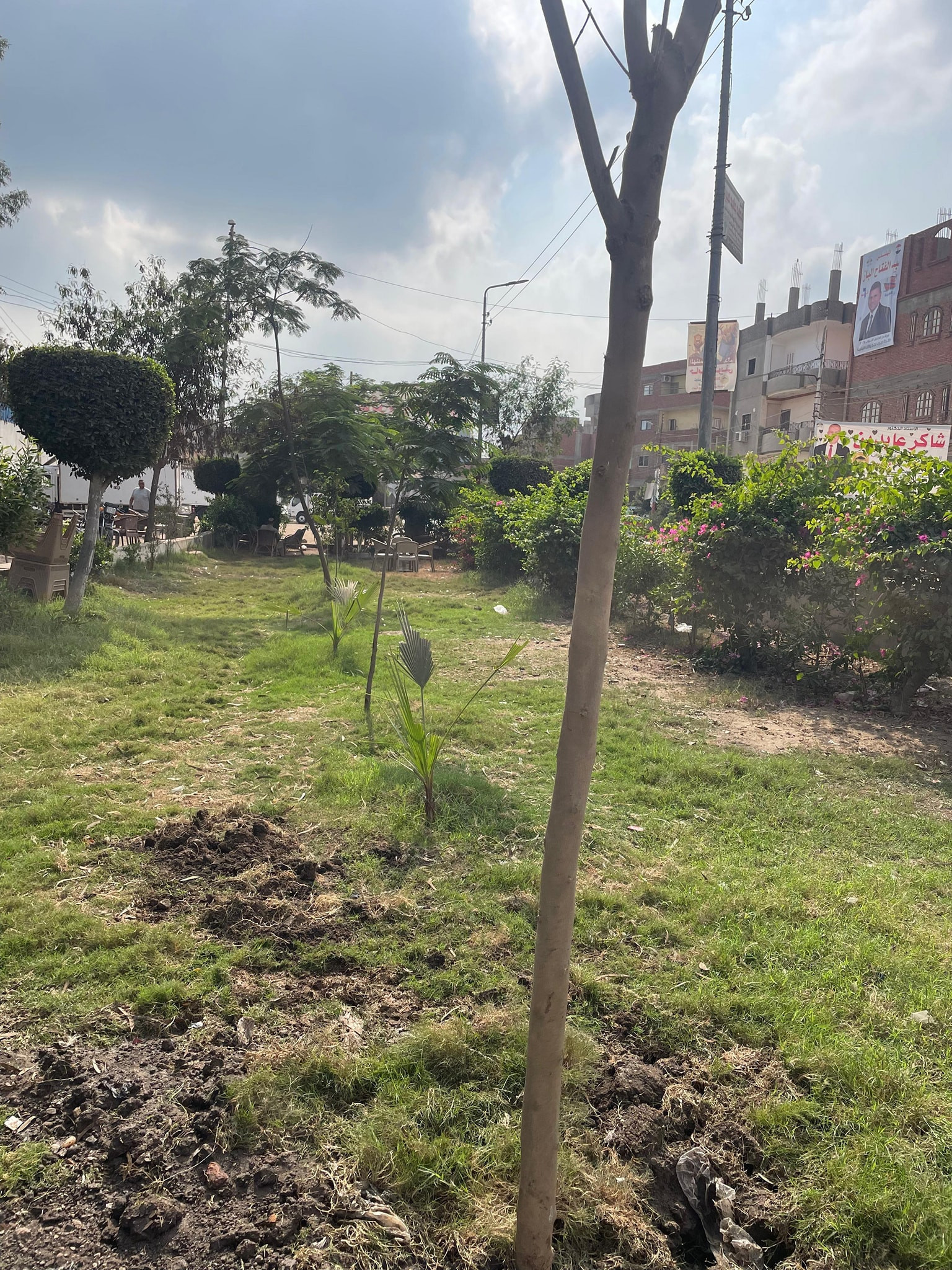 الدكتورة منال عوض