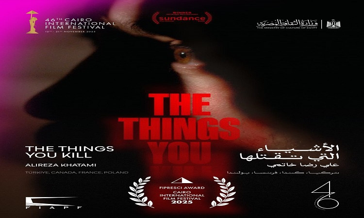 في مهرجان القاهرة السي