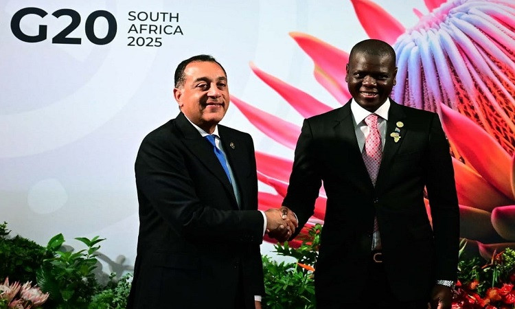 مصر تشارك في قمة مجموعة العشرين بجوهانسبرج