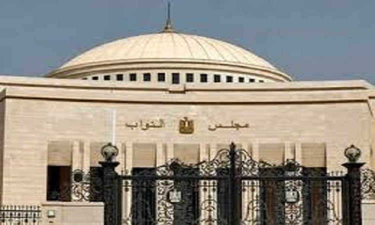 إقبال لافت للمصريين على صناديق التصويت في سلطنة عمان