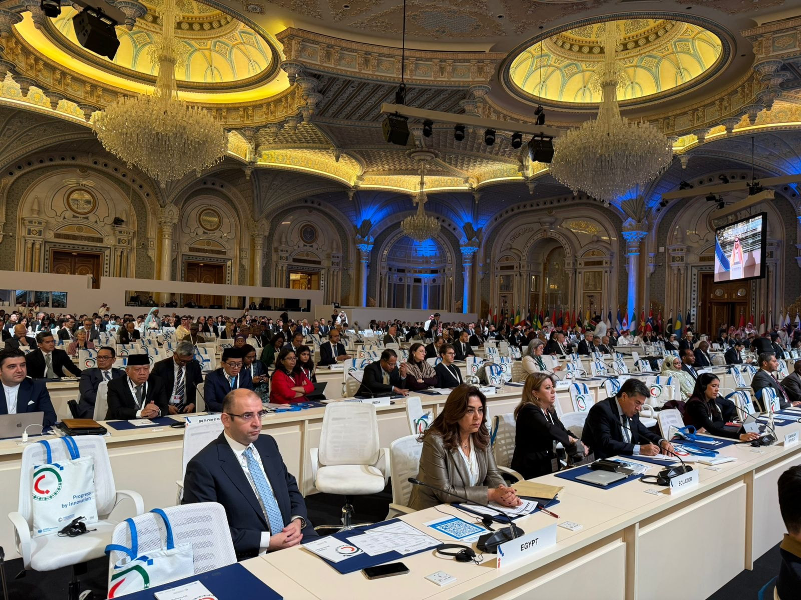 وزيرة التنمية المحلية