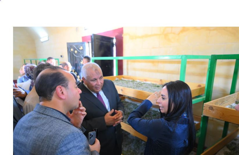 وزيرة التضامن