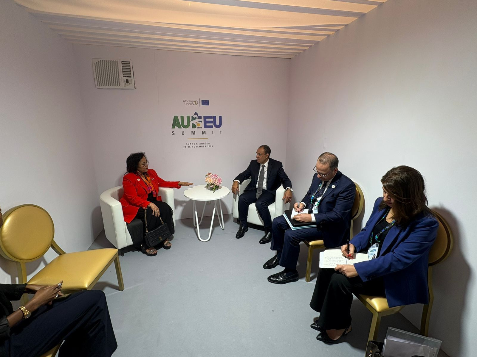 عبد العاطي مع مديرة النيباد