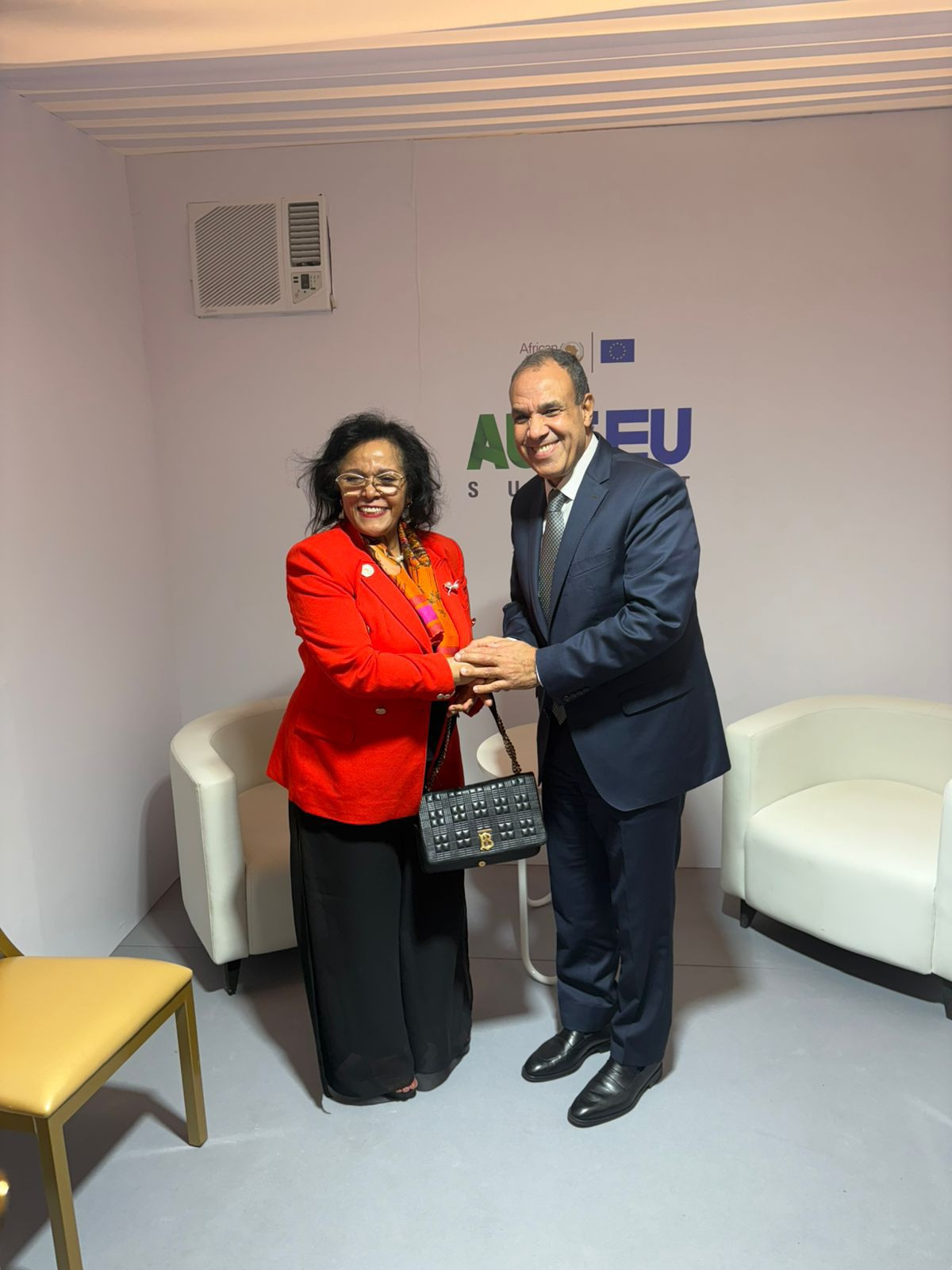 عبد العاطي مع مديرة النيباد