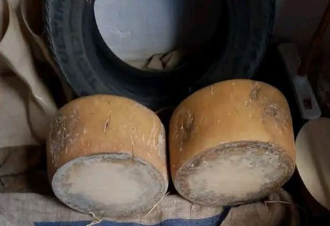 الرقابة الصصحية