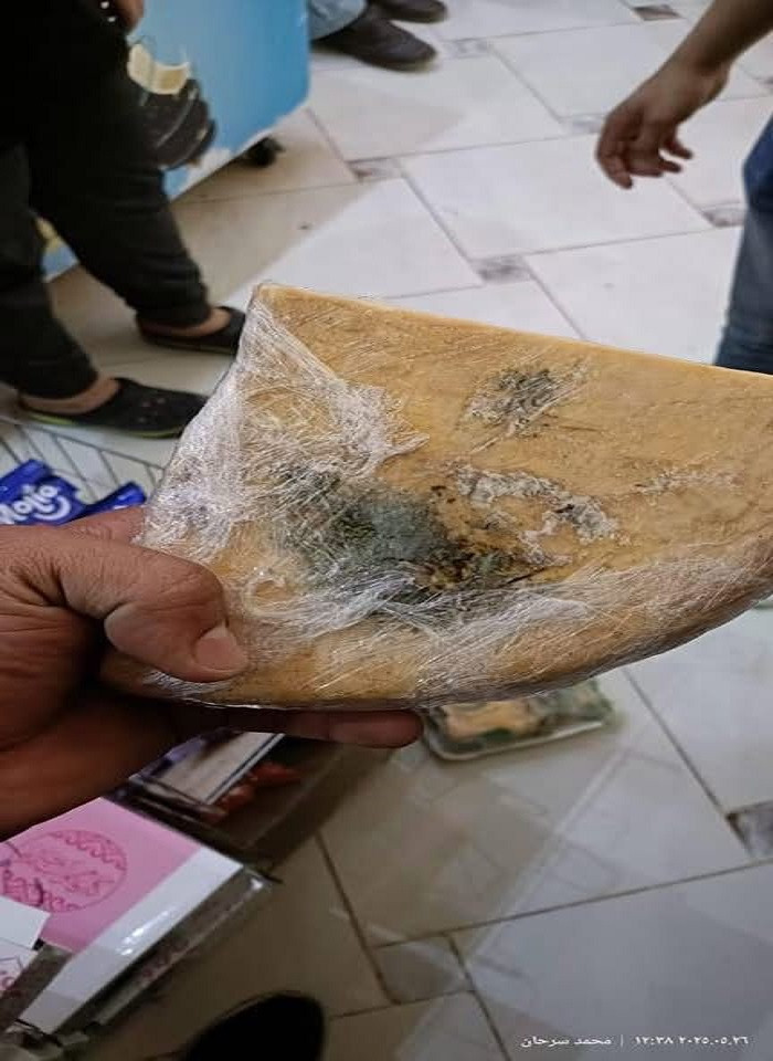 الرقابة الصصحية