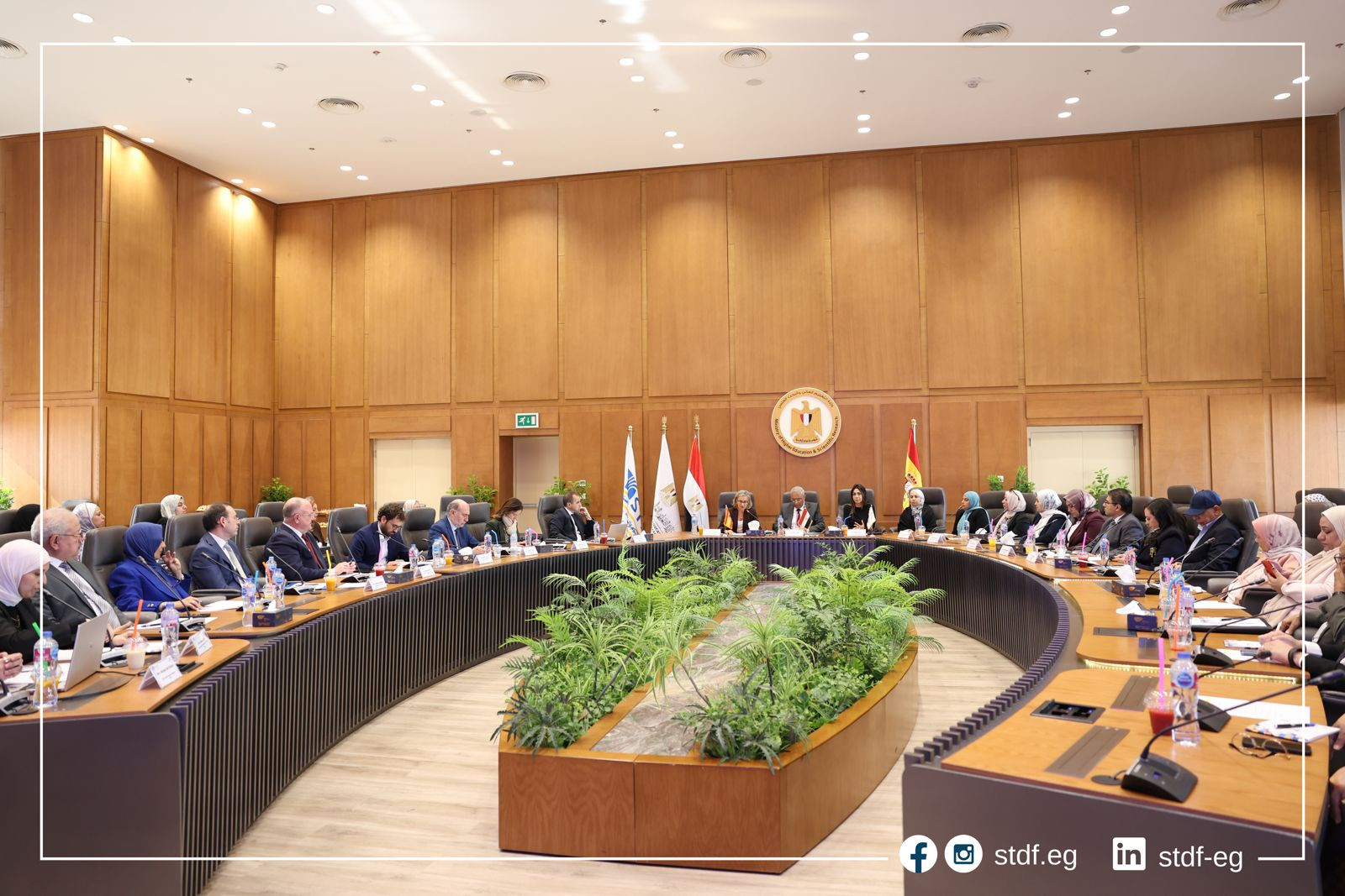 التعليم العالي