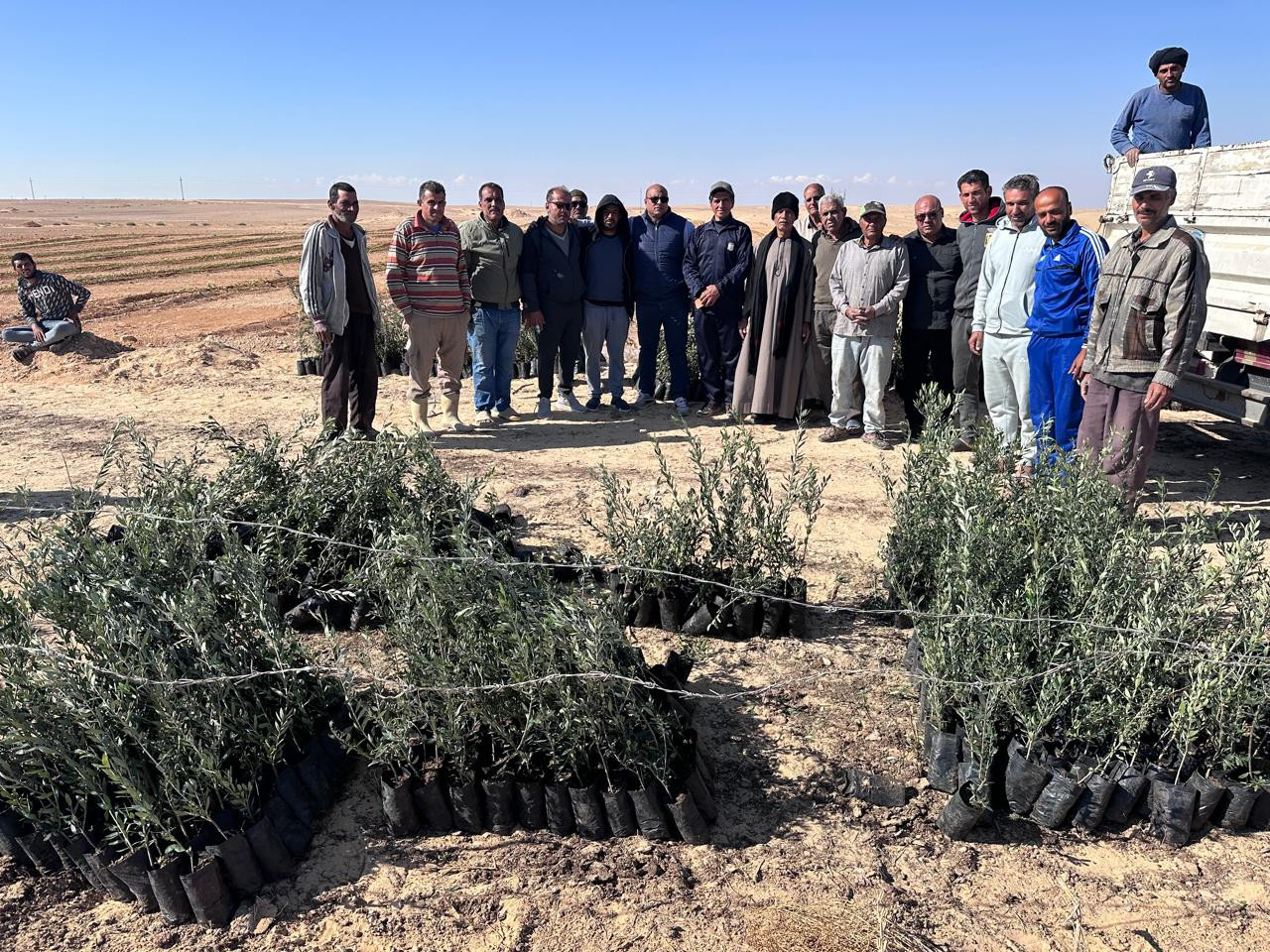 بحوث الصحراء