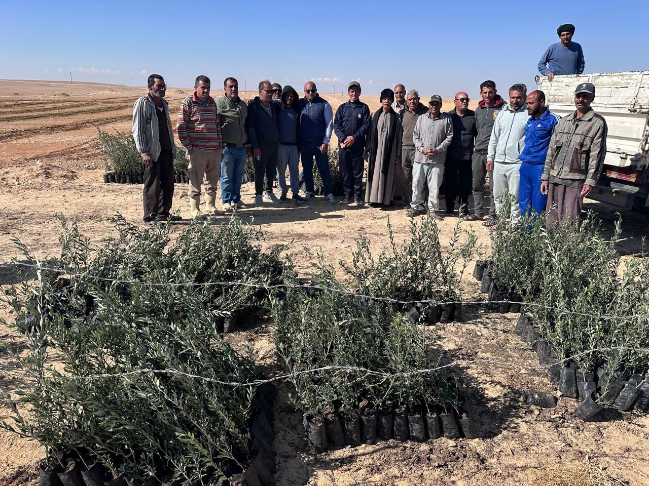 بحوث الصحراء