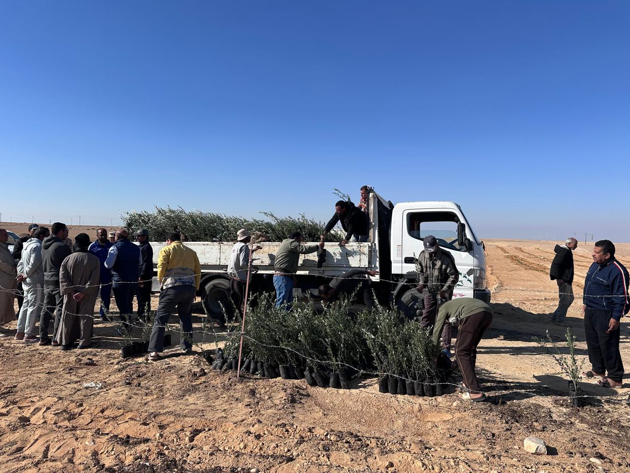 بحوث الصحراء