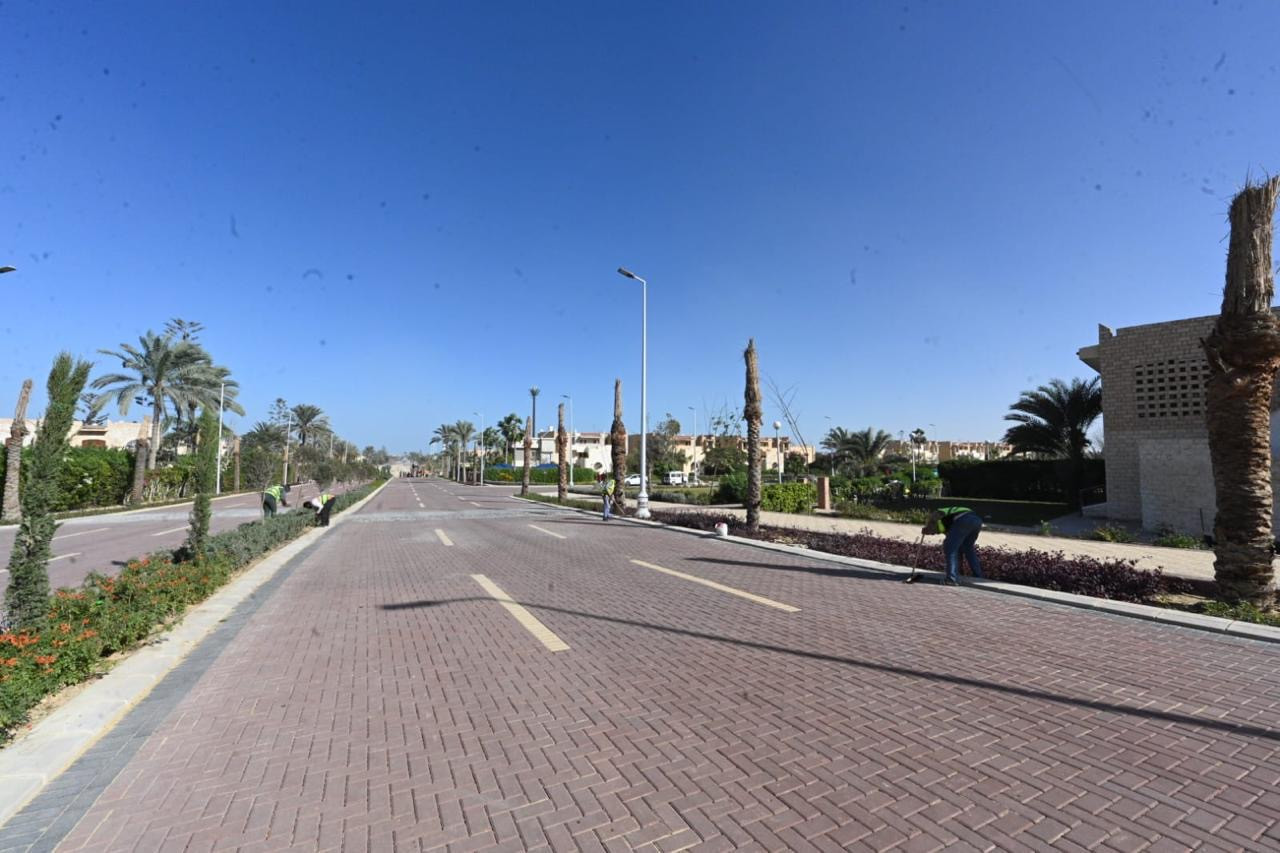 الاسكان