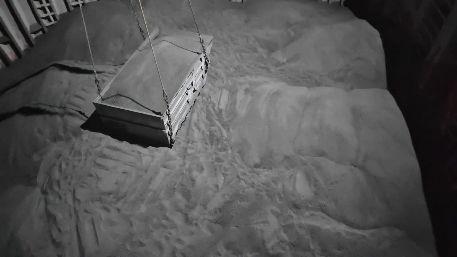 تصدير الانواد الكربونية