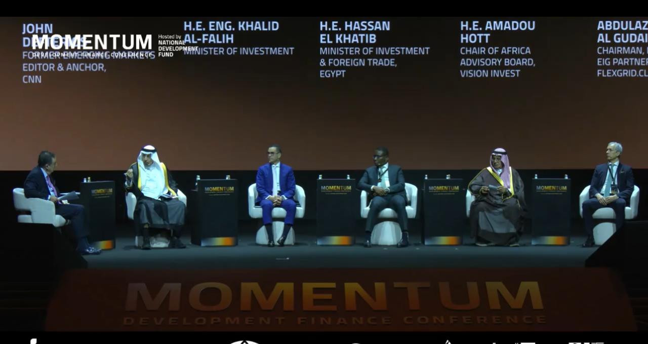 وزير الاستثمار