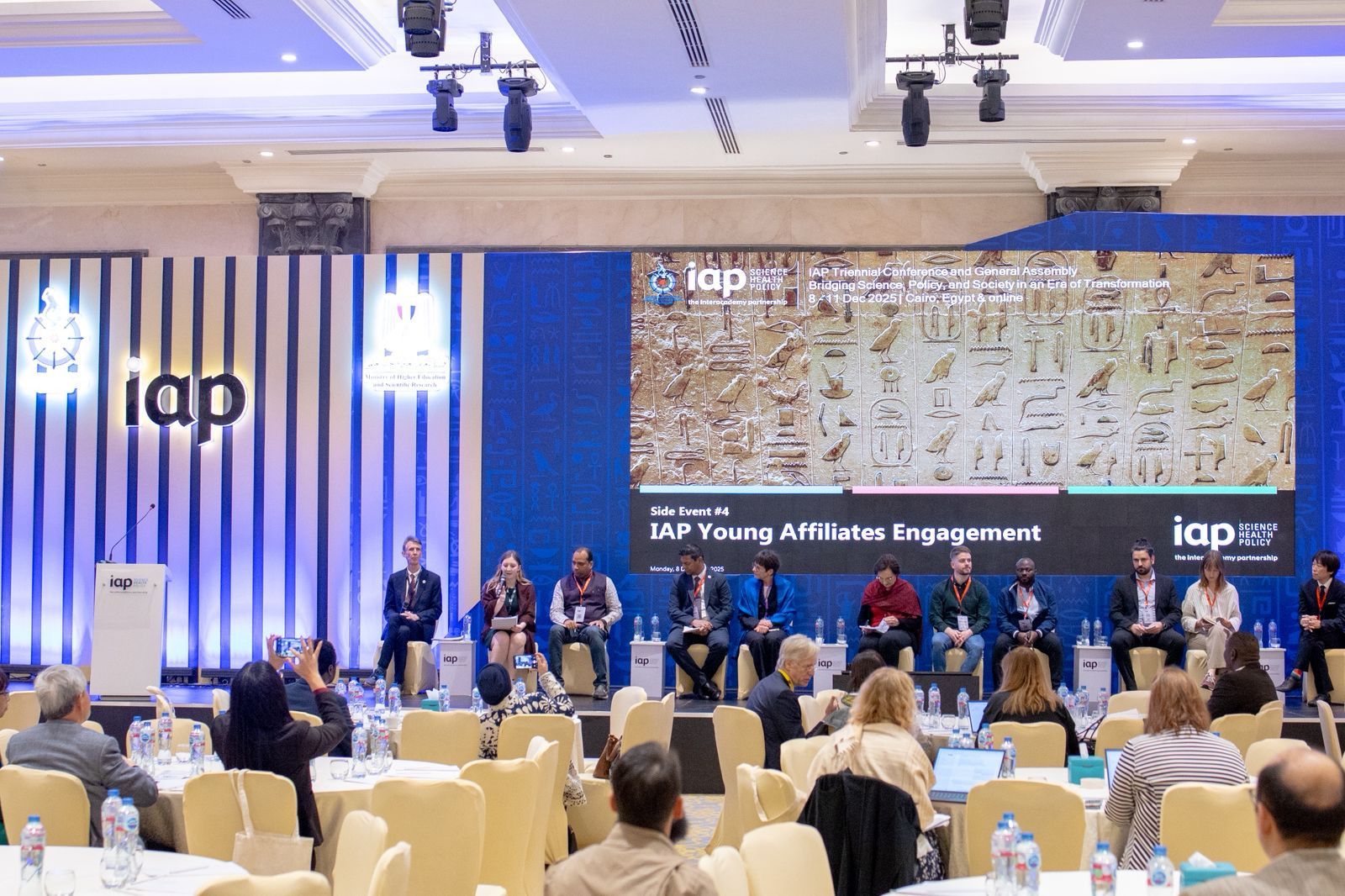 التعليم العالي