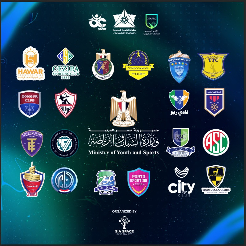 بطولة مصر للألعاب الالكترونية