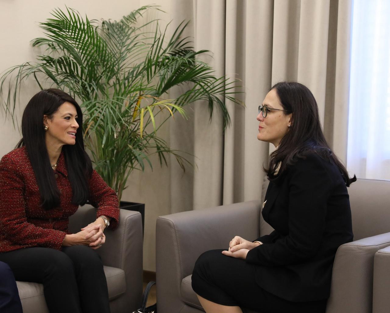 رانيا المشاط