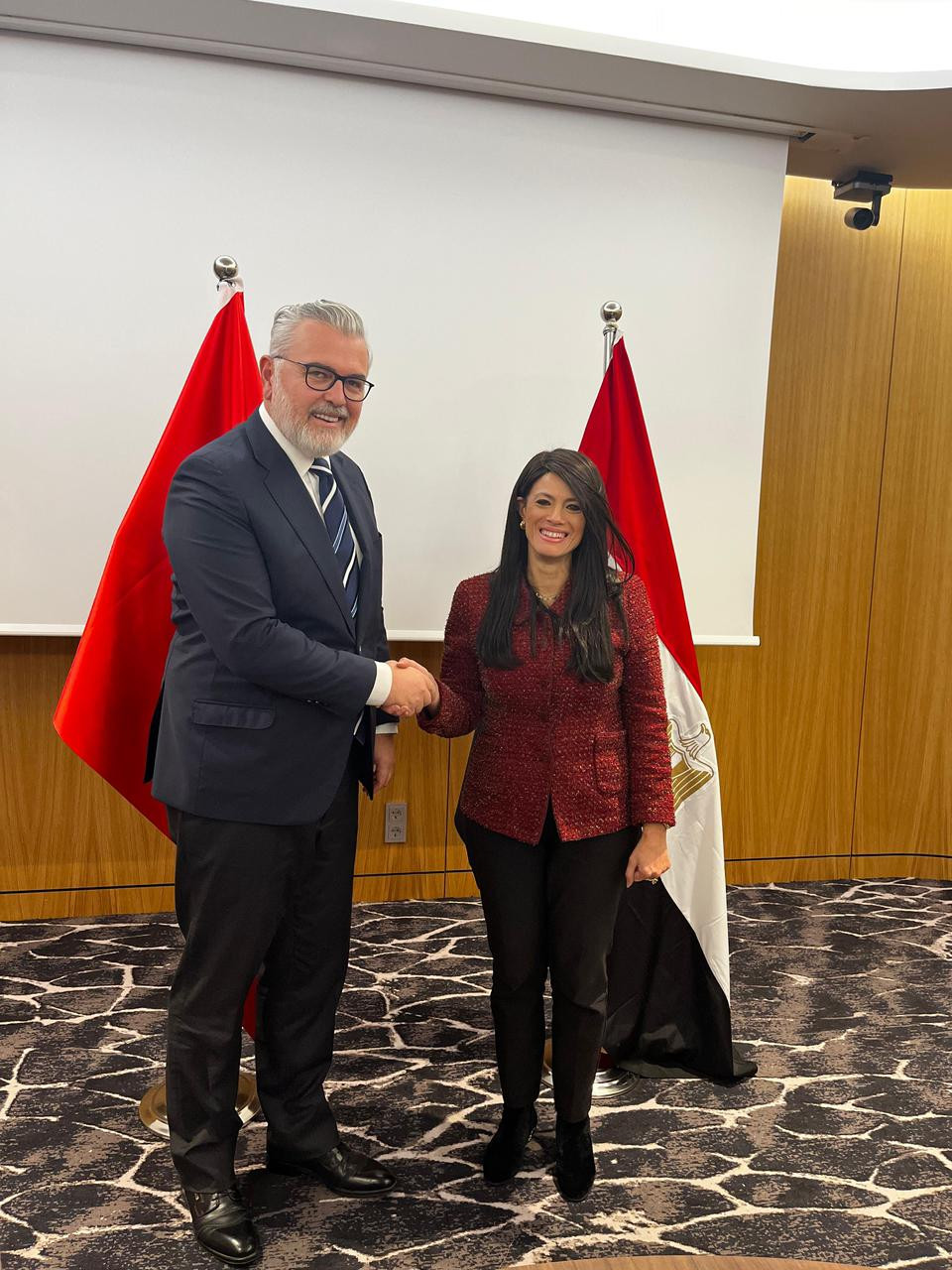 رانيا المشاط