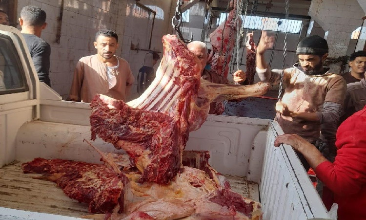 المنياــ تموين