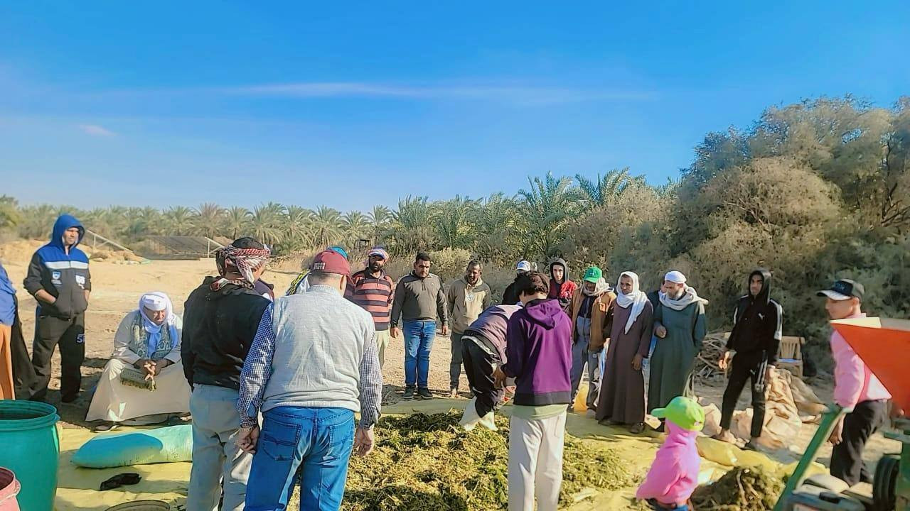 بحوث الصحراء