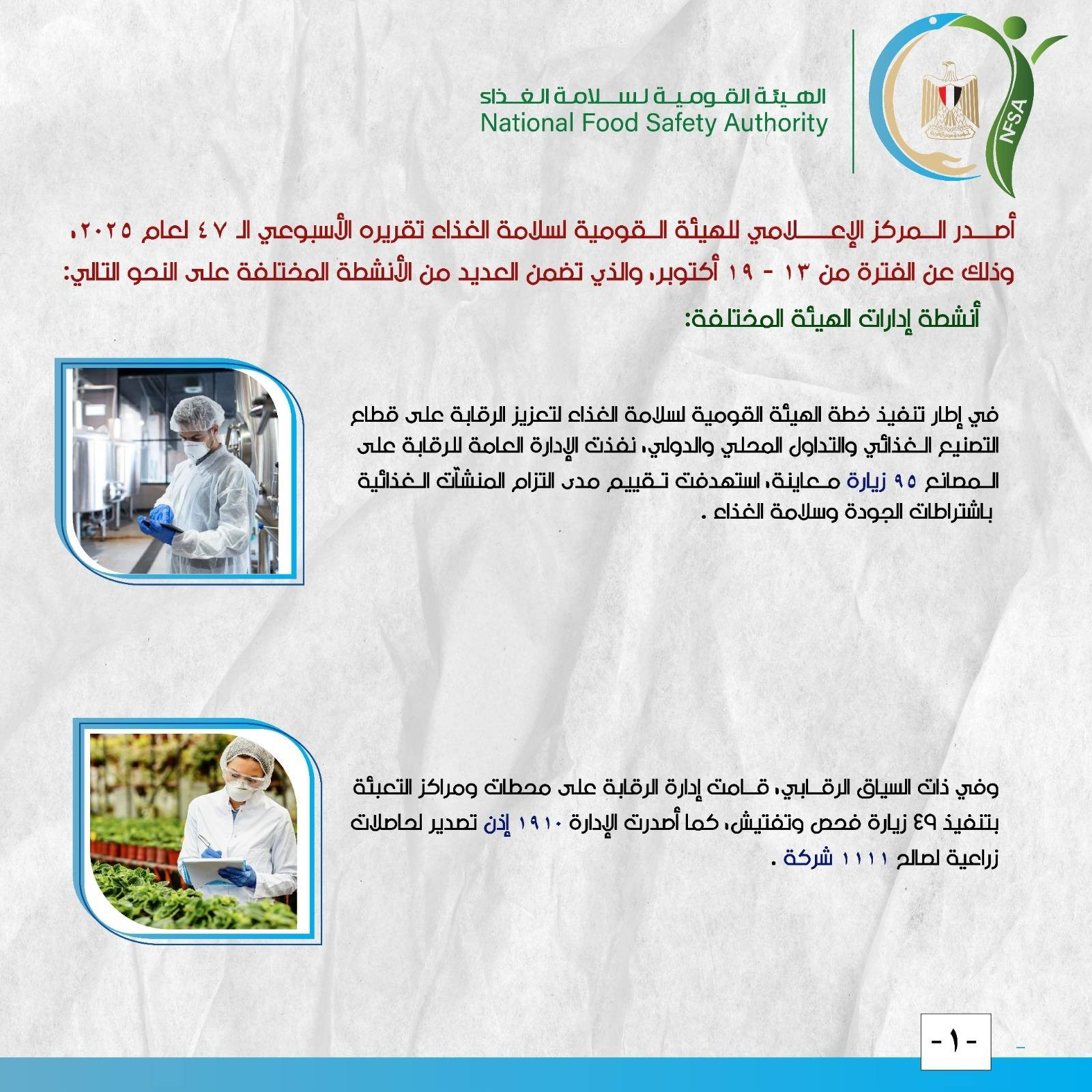 هيئة الغذاء