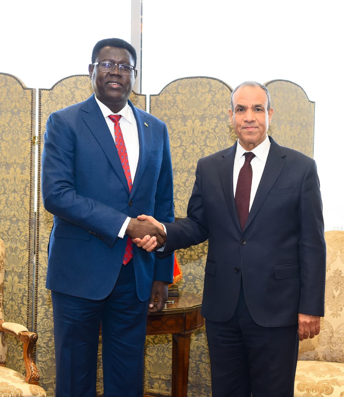 وزير الخارجية المصري ووزير خارجية جنوب السودان
